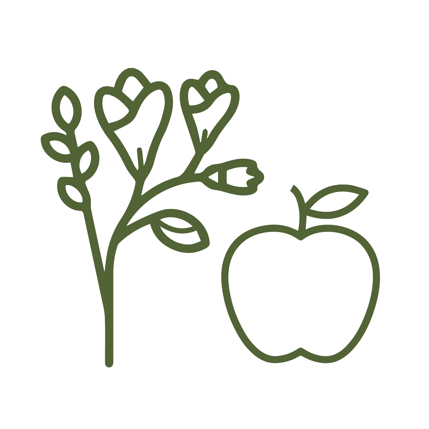 Flowering-fruiting