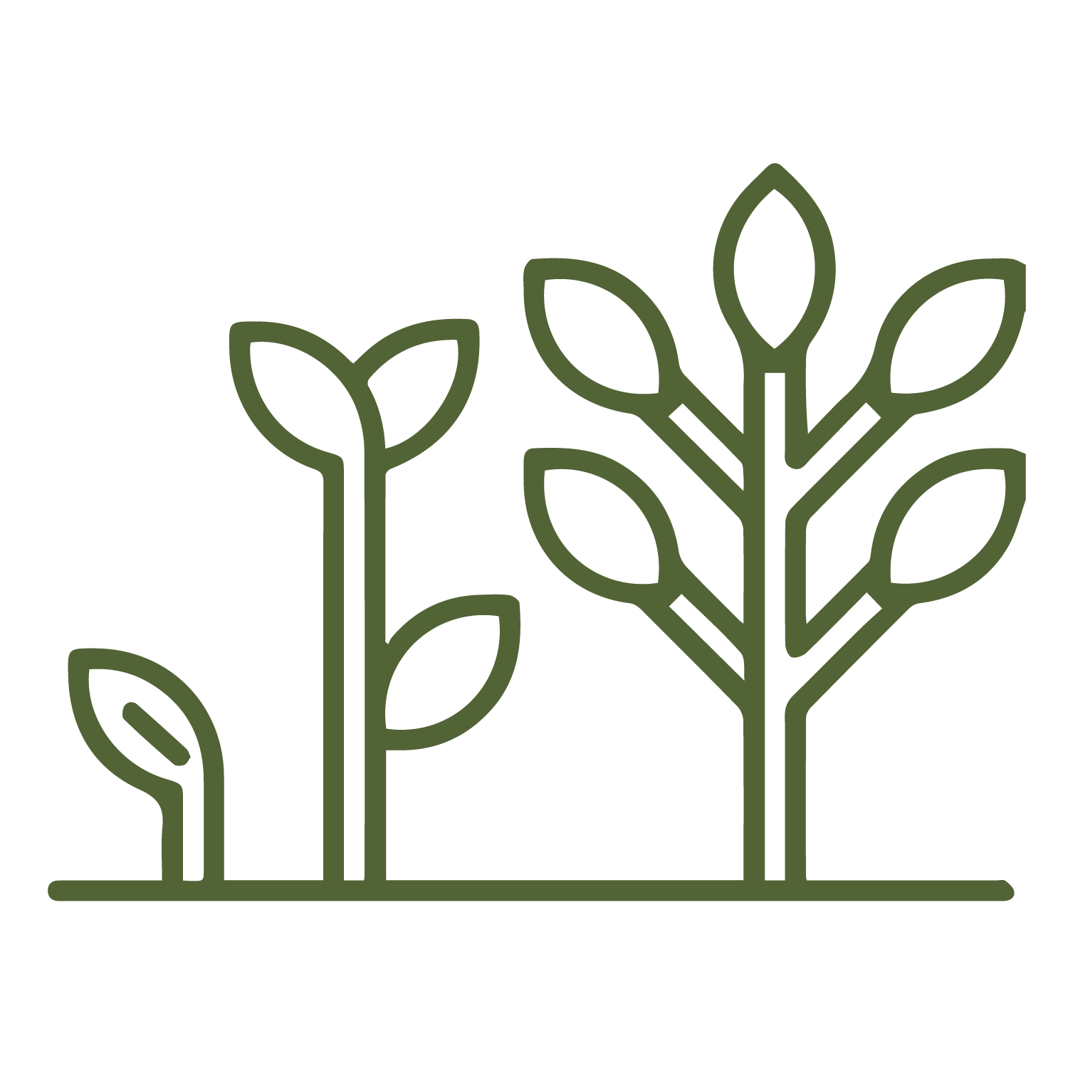 growth