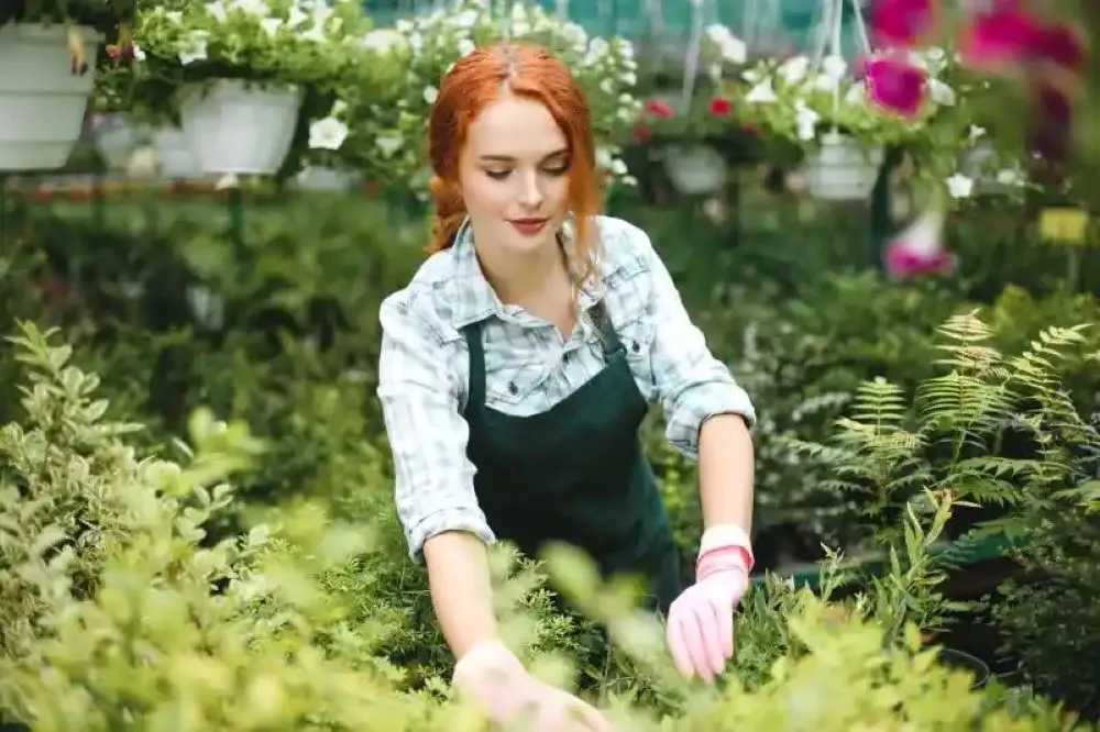 10 Essential Vegetables for Your Balcony Garden