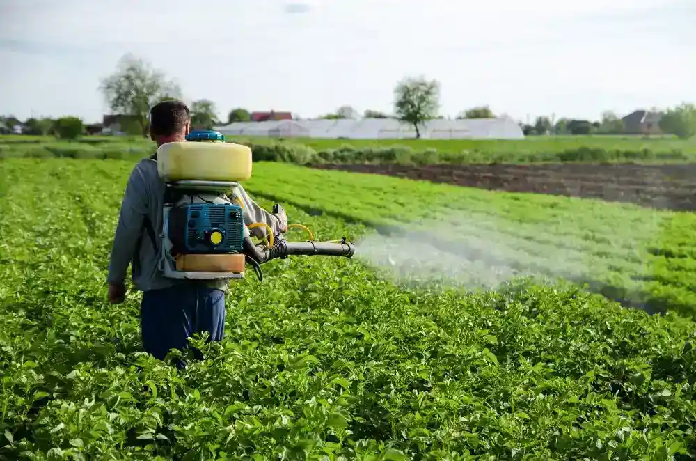 Why Plant Protection Spray Is Important