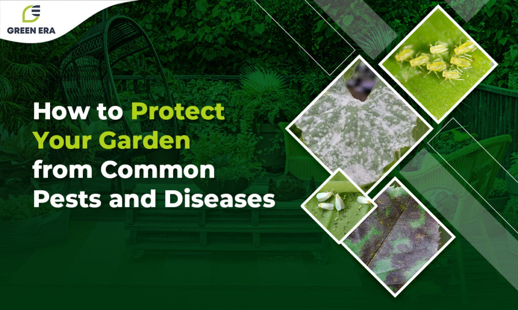 Protecting Your Garden with Eco-Friendly, Sustainable Solutions Against Typical Pests and Diseases